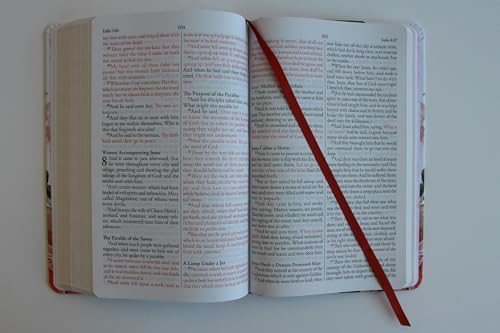 KJV Holy Bible, Large Print Medium Format, Pink Cloth Hardcover with Floral Design, Ribbon Marker, Red Letter (KJV Medium Size Large Print Editions) by ORIGIN