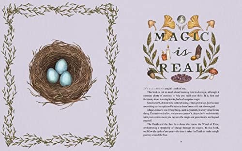 The Wheel of the Year: An Illustrated Guide to Nature's Rhythms by Fiona Cook