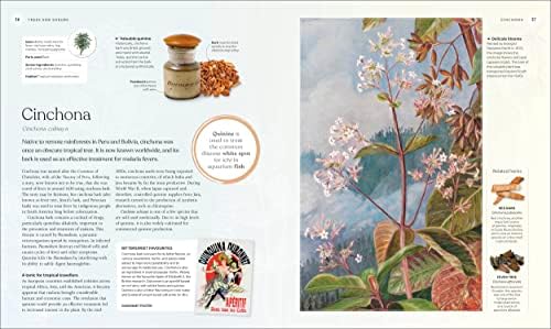 The Herb Book: The Stories, Science, and History of Herbs by DK