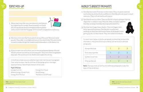 The Big Book of Reading Comprehension Activities, Grade 2: 120 Activities for After-School and Summer Reading Fun by Hannah Braun M.Ed.