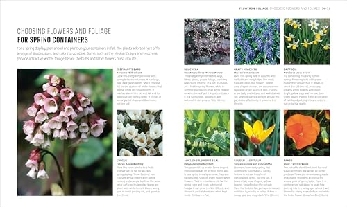 Beginner Gardening Step by Step: A Visual Guide to Yard and Garden Basics by DK