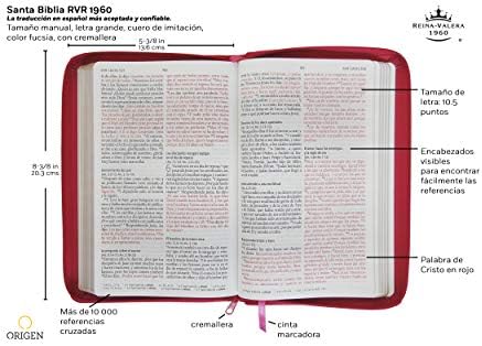 Biblia Reina Valera 1960 letra grande. Símil piel fucsia, cremallera, tamaño manual / Spanish Holy Bible RVR 1960. Handy Size, Large Print, Leathersoft, Zipp (Spanish Edition) by Reina Valera Revisada 1960