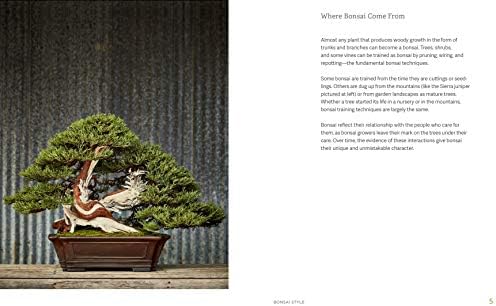 The Little Book of Bonsai: An Easy Guide to Caring for Your Bonsai Tree by Jonas Dupuich