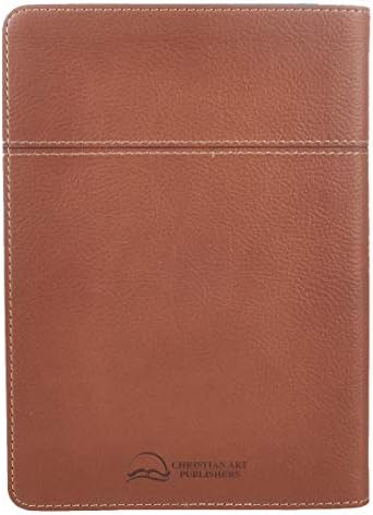 Words of Jesus for Men Daily Devotional Brown Vegan Leather by Riekert Botha