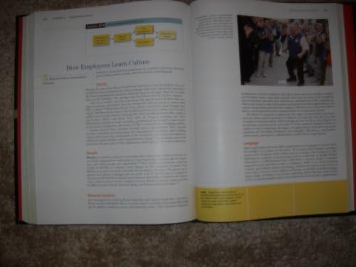 Organizational Behavior by Stephen P. Robbins
