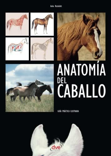 Anatomía del caballo (Spanish Edition) by Anke Rüsbüldt