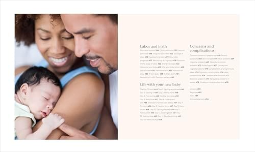 Pregnancy Day by Day: Count Down Your Pregnancy Day by Day with Advice from a Team of Experts by DK