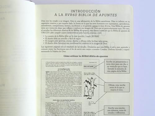 Biblia de Apuntes RVR 1960 Tapa dura, Vino tinto (Edición cantos pintados) / Spanish Journalling Bible RVR 1960 Hardcover Burgundy (Spanish Edition) by Reina Valera Revisada 1960
