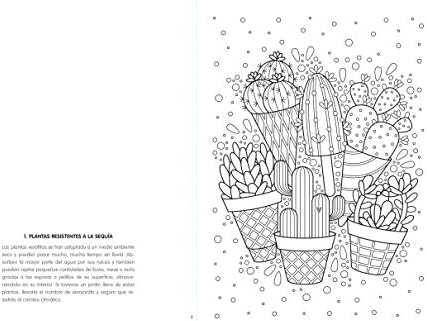#Coloreanding: Cactus y suculentas (Spanish Edition) by Gaba Gale