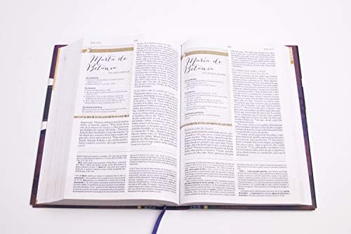 Biblia Reina Valera 1960 de Estudio para Mujeres, Tapa dura | RVR 1960 Women's Study Bible, Hardcover (Spanish Edition) by Dorothy Kelley Patterson
