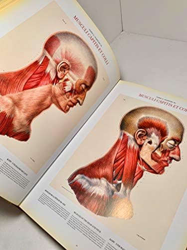 Atlas of Human Anatomy and Surgery: The Complete Coloured Plates of 1831-1854 by Jean-marie Le Minor