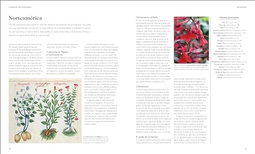 Enciclopedia de plantas medicinales (Encyclopedia of Herbal Medicine) (Spanish Edition) by Andrew Chevallier