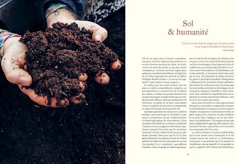 Prendre soin de son sol - Mieux le comprendre, le fertiliser et favoriser la vie by Emmanuel Bourguignon