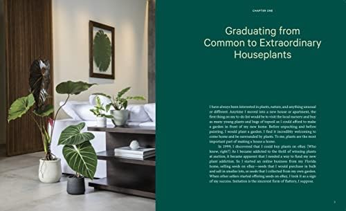 Welcome to the Jungle: Rare Tropical Houseplants to Collect, Grow, and Love by Enid Offolter