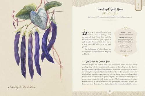The Goth Garden: The Mystery, Beauty, and Lore of Dark Gardening by Felicia Feaster