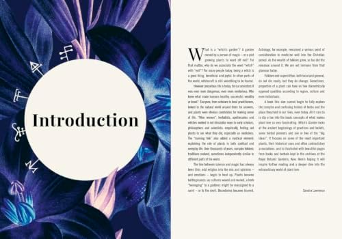 Witch's Garden: Plants in Folklore, Magic and Traditional Medicine (Royal Botanic Gardens, Kew) by Sandra Lawrence