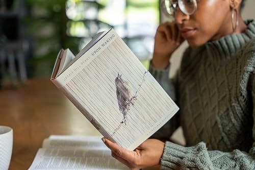 Upon Waking: 60 Daily Reflections to Discover Ourselves and the God We Were Made For by Jackie Hill Perry