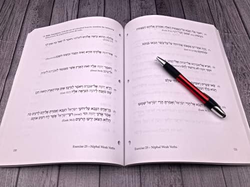 Basics of Biblical Hebrew Workbook: Third Edition (Zondervan Language Basics Series) by Gary D. Pratico