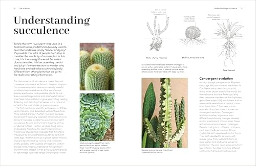 Cacti and Succulents: On-point Advice to Keep Your Plants Looking Sharp by Sarah Gerrard-Jones