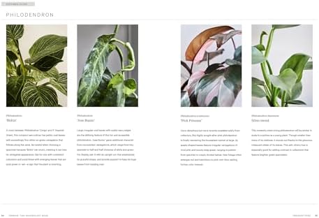Terrain: The Houseplant Book: An Insider’s Guide to Cultivating and Collecting the Most Sought-After Specimens by Melissa Lowrie