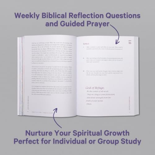 A Beautiful Year in the Bible: The 52-Week Bible Study for Women by Alabaster Co.