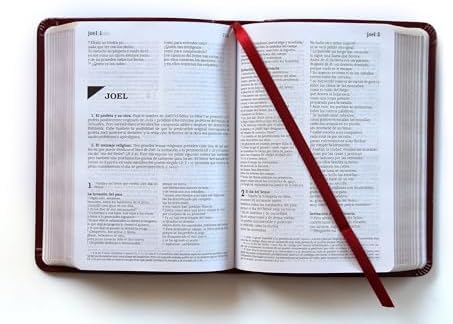 Biblia Católica en español. Símil piel vinotinto, tamaño compacto / Catholic Bible. Spanish-Language, Leathersoft, Wine, Compact (Spanish Edition) by Biblia de América