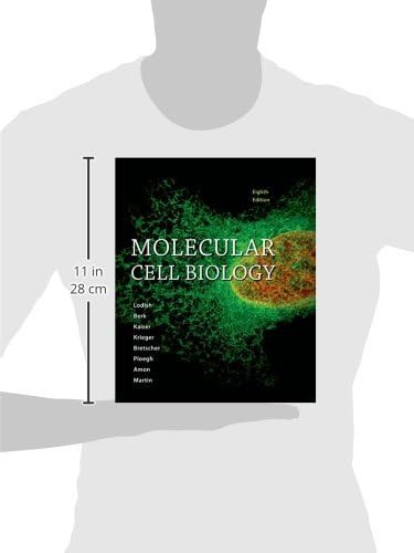 Molecular Cell Biology by Harvey Lodish
