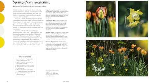 A Year of Color: How to create a bold and bright garden by Ann-Marie Powell