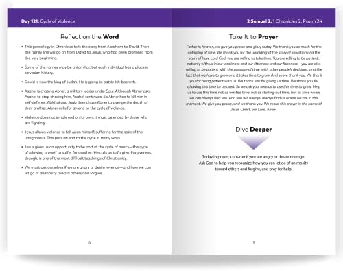 The Bible in a Year Companion, Volume II by Fr. Mike Schmitz