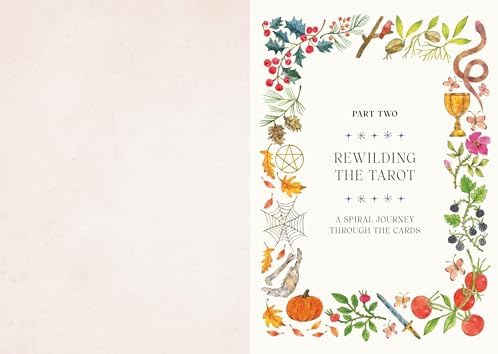 Tarot for the Wild Soul: A Trauma-Informed Approach for Growth, Healing, and Grounding in the Present Moment by Lindsay Mack
