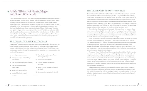 The Green Witch's Herb and Plant Encyclopedia: 150 Ingredients for Everyday Witchcraft by Rowan Morgana