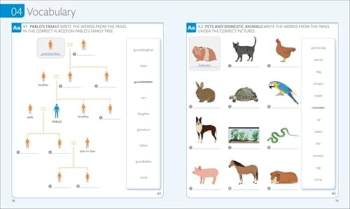 English for Everyone: Level 1 Practice Book - Beginner English: ESL Workbook, Interactive English Learning for Adults by DK