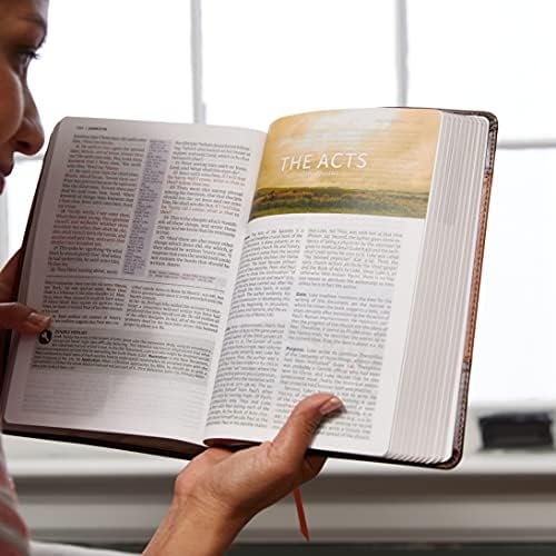 KJV, The King James Study Bible, Full-Color Edition, Cloth-bound Hardcover, Red Letter: KJV Holy Bible by Thomas Nelson