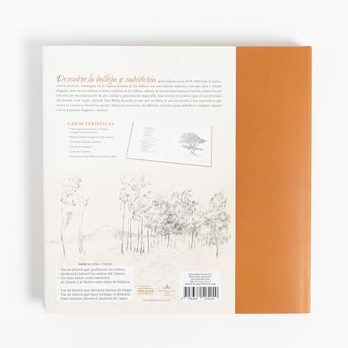 RVR 1960 Libro de Salmos Edición Ilustrada (RVR 1960 Book of Psalms Illustrated Edition) (Spanish Edition) by B&H Español Editorial Staff