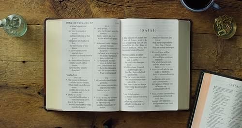 ESV Super Giant Print Bible (TruTone, Brown/Cordovan, Portfolio Design): Holy Bible, English Standard Version by ESV Bibles