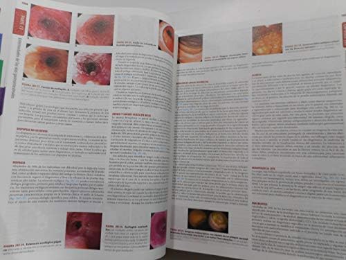 Harrison's Principles of Internal Medicine Vol 1/2 by Anthony Fauci