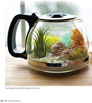 Creative Terrariums: 33 Modern Mini-Gardens for Your Home (Fox Chapel Publishing) Step-by-Step Cutting-Edge, Contemporary Designs to Add a Decorative Organic Presence to Even the Smallest Room by Enid Gonzalez