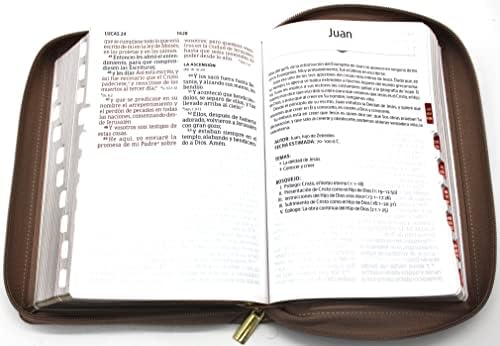 Biblia para Mujeres Reina Valera 1960 Letra Gigante de 14 Puntos Tamano Manual con Cierre y Indice Semil Piel Color Rosa Perla con Dorado Edicion Limitada (Spanish Edition) by Reina Valera 1960