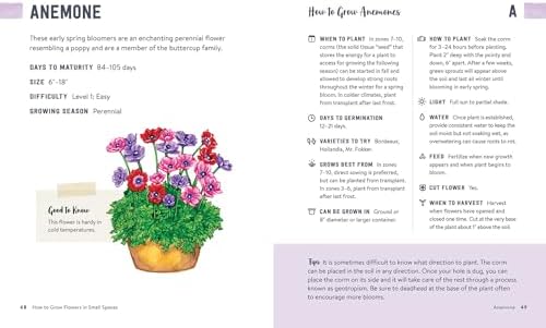 How to Grow Flowers in Small Spaces: An Illustrated Guide to Planning, Planting, and Caring for Your Small Space Flower Garden by Stephanie Walker