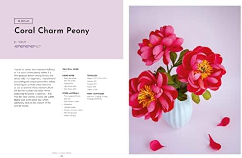 Crepe Paper Blooms, Bugs and Butterflies: Over 20 colourful paper projects from Miss Petal & Bloom by Eileen Lim