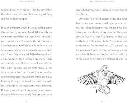 Bob the Robin: A love letter to Britain’s favourite bird by Tony Putman