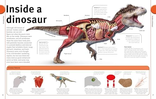 The Dinosaurs Book (DK Our World in Pictures) by DK