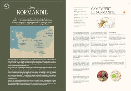 Tout un fromage: L'encyclopédie calée et décalée du fromage by Ludovic Bisot