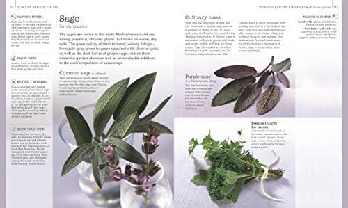 Herbs & Spices: Over 200 Herbs and Spices, with Recipes for Marinades, Spice Rubs, Oils, and Mor by Jill Norman