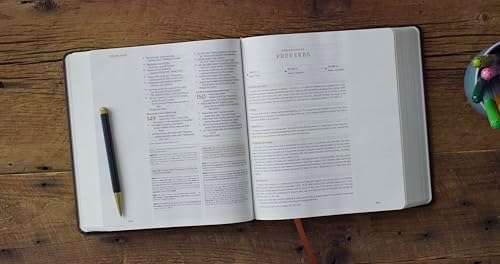 ESV Journaling Study Bible, Artist Series (Hardcover, Joshua Noom, The Lion and the Lamb): Holy Bible, English Standard Version by ESV Bibles