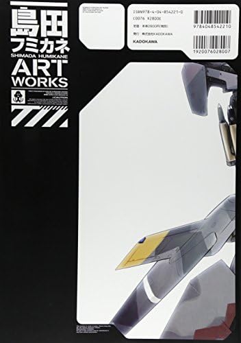 Shimada Fumikane ART WORKS by Shimada Fumikane
