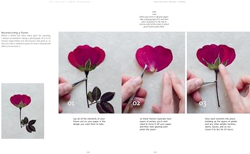 The Pressed Flower Handbook: Simple Methods for Connecting with Nature and Preserving the Beauty of the Garden through the Seasons - Grow, Gather, Press, Create by Sarah Holland