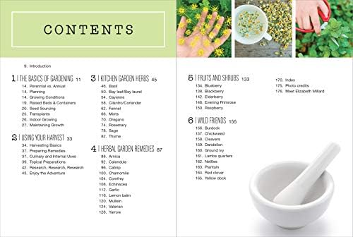 Backyard Pharmacy: Plants as Medicine - Plant, Grow, Harvest, and Heal by Elizabeth Millard