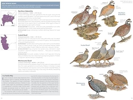 National Geographic Field Guide to the Birds of the United States and Canada―East, 2nd Edition by Ted Floyd