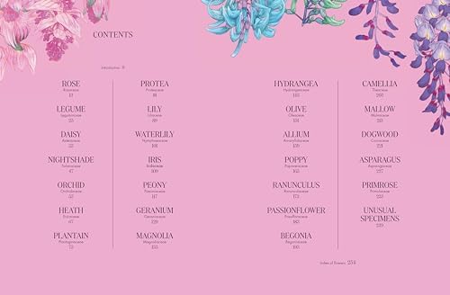 Petal: The World of Flowers Through an Artist's Eye by Adriana Picker